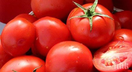 падна индексът тържищните цени хранителните стоки едро