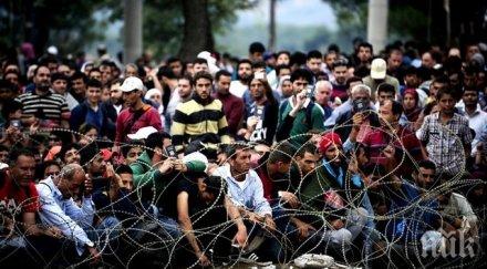 бакояни македония изигра важна роля бежанската криза мощна подкрепа членство нато