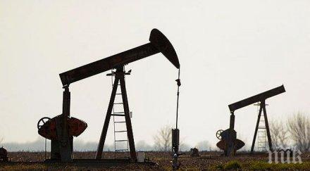 иран участва петролната среща доха