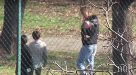 бургаски квартали пропищяха ромчета малките крадци обират домове наред