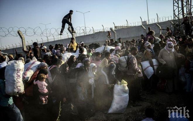 ПИК TV: Явни и скрити патрули по южната граница, заловените край Гоце Делчев мигранти са върнати на Гърция