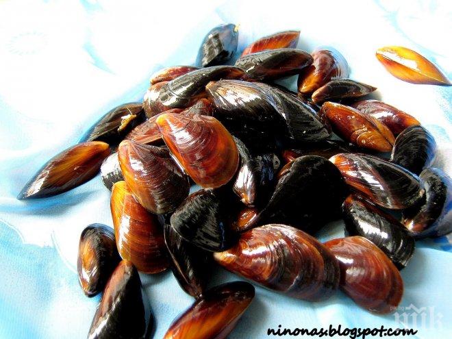 Специалист: Гражданите да изискват и проверяват произхода на мидите
