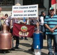 Протест блокира Е-79 между Враца и Мездра
