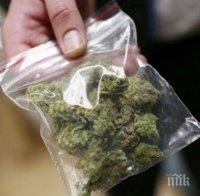 Хванаха двама бандюги с канабис и то в двора на детска градина 