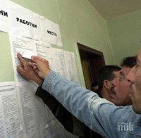 Над 3 хиляди търсят работа на борсата