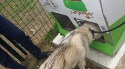 бургас появиха първите кучемати пускаш пластмаса излиза кучешка храна