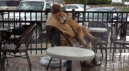 жена прави тайно снимка вижда гледка време един дъждовен ден докосва сърцето