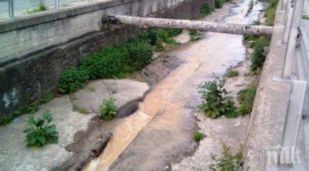 река поройна шумен потече жълта