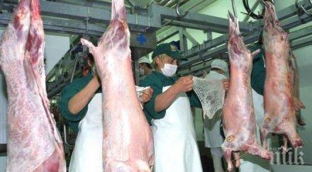 шок цената агнешкото великден стига рекорди вижте струва празника