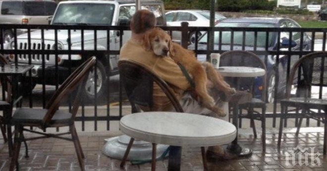 Жена прави тайно снимка, когато вижда тази гледка по време на един дъждовен ден. Това докосва сърцето!