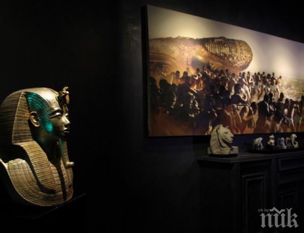 Комисия подхваща музея от хартия във Враца