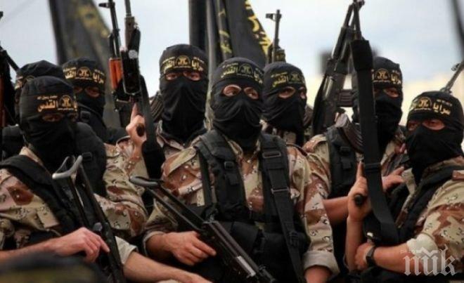 Терористите от „Ислямска държава“ са понесли загуби при нападение над правителствените войски на Сирия в района на Дамаск