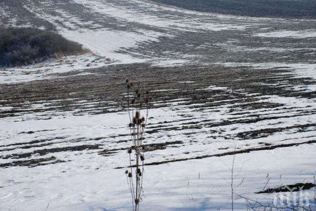 АНОМАЛИЯ! Тази нощ градусите падат с 15 наведнъж! Утре зимата се връща!