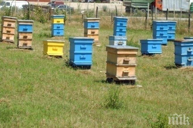 Откраднаха три пчелни кошера край Беловец
