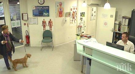 води куче приюта животни умъртвено секунди късно скрита камера заснема