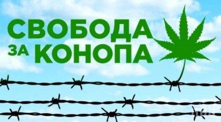 пациентски браншови организации излизат марш свобода конопа