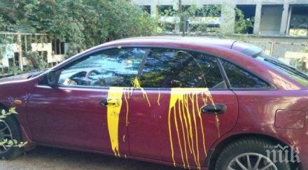 вандал заля боя автомобил стара загора