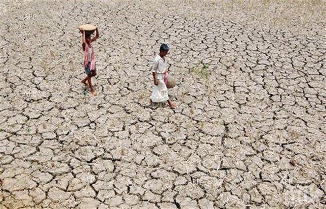 Над 330 милиона души в Индия живеят в райони, засегнати от сушата
