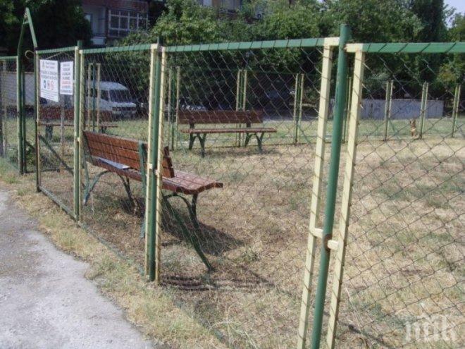 Доброволци изградиха площадка за изоставените кучета в Пловдив
