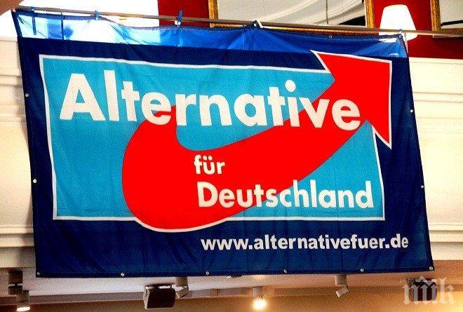 Алтернатива за Германия е смятана за недемократична от две трети от гражданите на ФРГ, сочи проучване