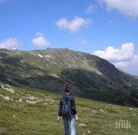 Засаждат 200 дръвчета на Витоша по случай „Седмицата на гората“