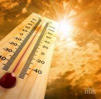 жестоките горещини индия взеха 220 жертви