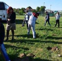 Мащабна офанзива по засаждане на фиданки в Стамболово