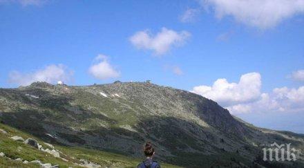 засаждат 200 дръвчета витоша случай седмицата гората