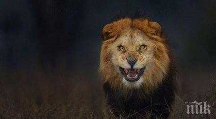 фотографът направил снимка успял измъкне жив