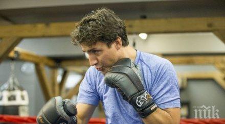 канадският премиер боксира йорк