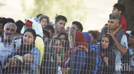 сицилианската мафия обяви война бежанците