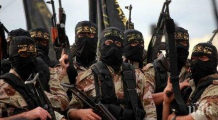 ислямска държава обяви заловила сирийски пилот падането самолет източно дамаск