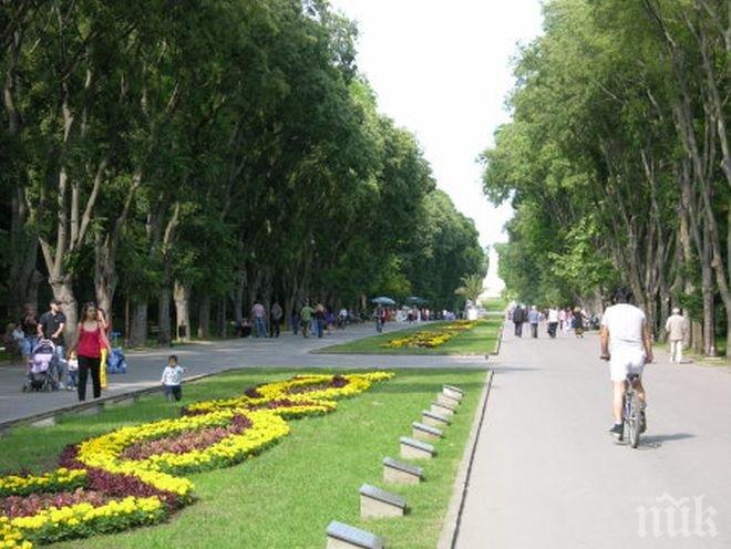 Рекордите на Гинес блокират достъпа на коли до Морската градина във Варна