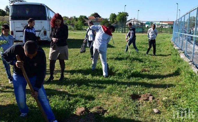 Мащабна офанзива по засаждане на фиданки в Стамболово