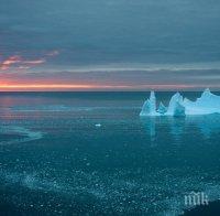 Антрактиците ни предотвратили екологична катастрофа на о. Ливингстън