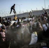 Чехия изпраща още 30 полицейски служители в Гърция
