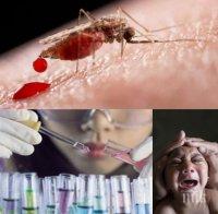 Европа на прага на здравна катастрофа! „Зика” нахлува с комарите 