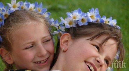 цветница благославят върбовите клонки