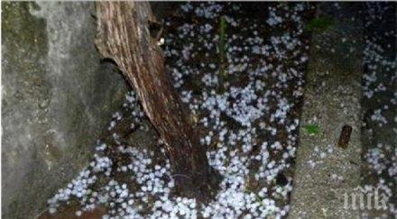 градушка лешник удари южна българия