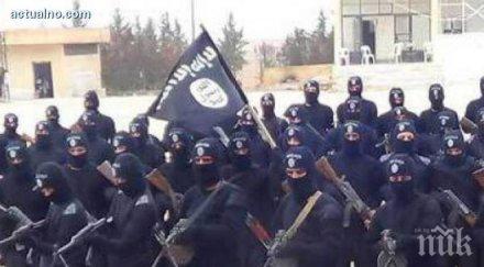 ислямисти били убити удар сирийските военни