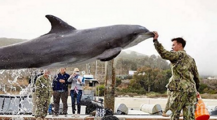 докато разглеждах всяка една снимки мислех моля