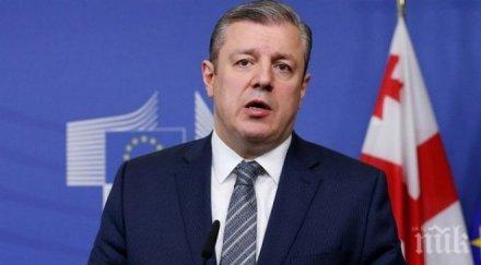 грузинска правителствена делегация посети сащ