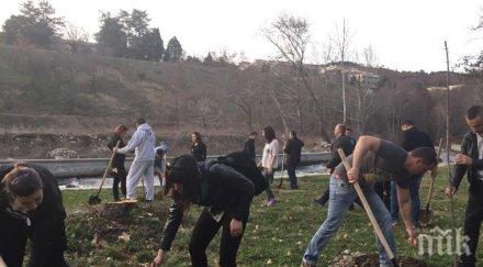 засадиха 121 дръвчета алеята новия живот димитровград