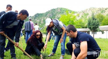 герберите проведоха път инициативата пуснем корени българия