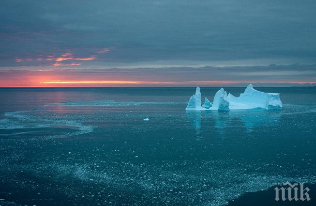 Антрактиците ни предотвратили екологична катастрофа на о. Ливингстън