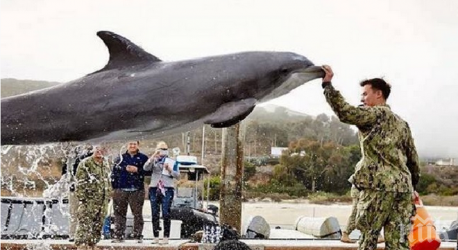 Докато разглеждах всяка една от тези снимки, си мислех: МОЛЯ?!? 
