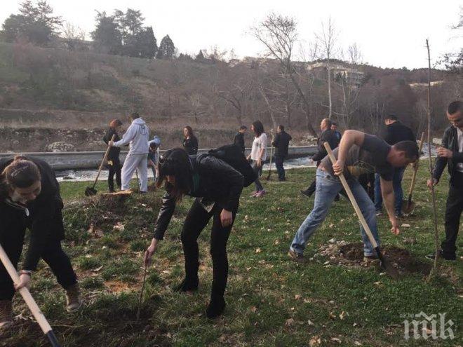 Засадиха 121 дръвчета в Алеята но новия живот в Димитровград