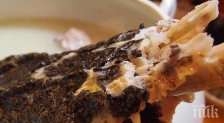 великденска екзотика крокодилски опашки вместо агнешко празника