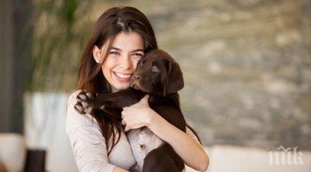 никога гушкаме кучето