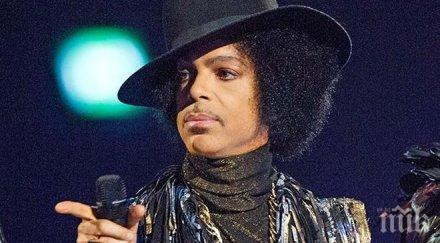 превръщат имението принс музей